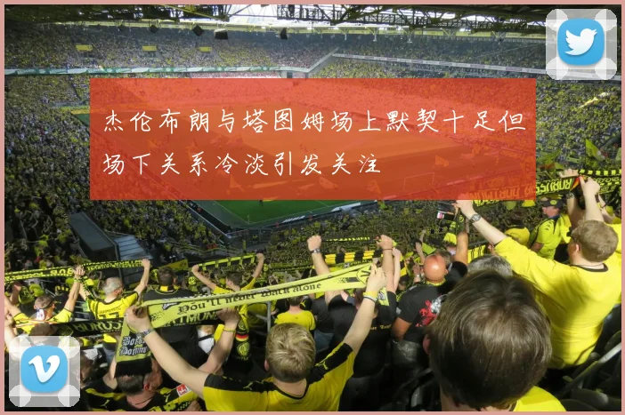 杰伦布朗与塔图姆场上默契十足但场下关系冷淡引发关注